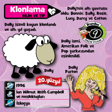 Brainbox İcatlar (Türkçe) | Sahrayıcedit Mağazamızda