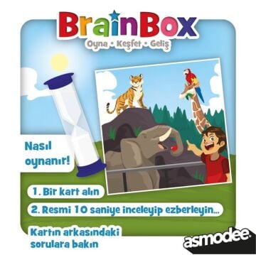 BrainBox İlk Resimlerim (YENİ Tasarım)